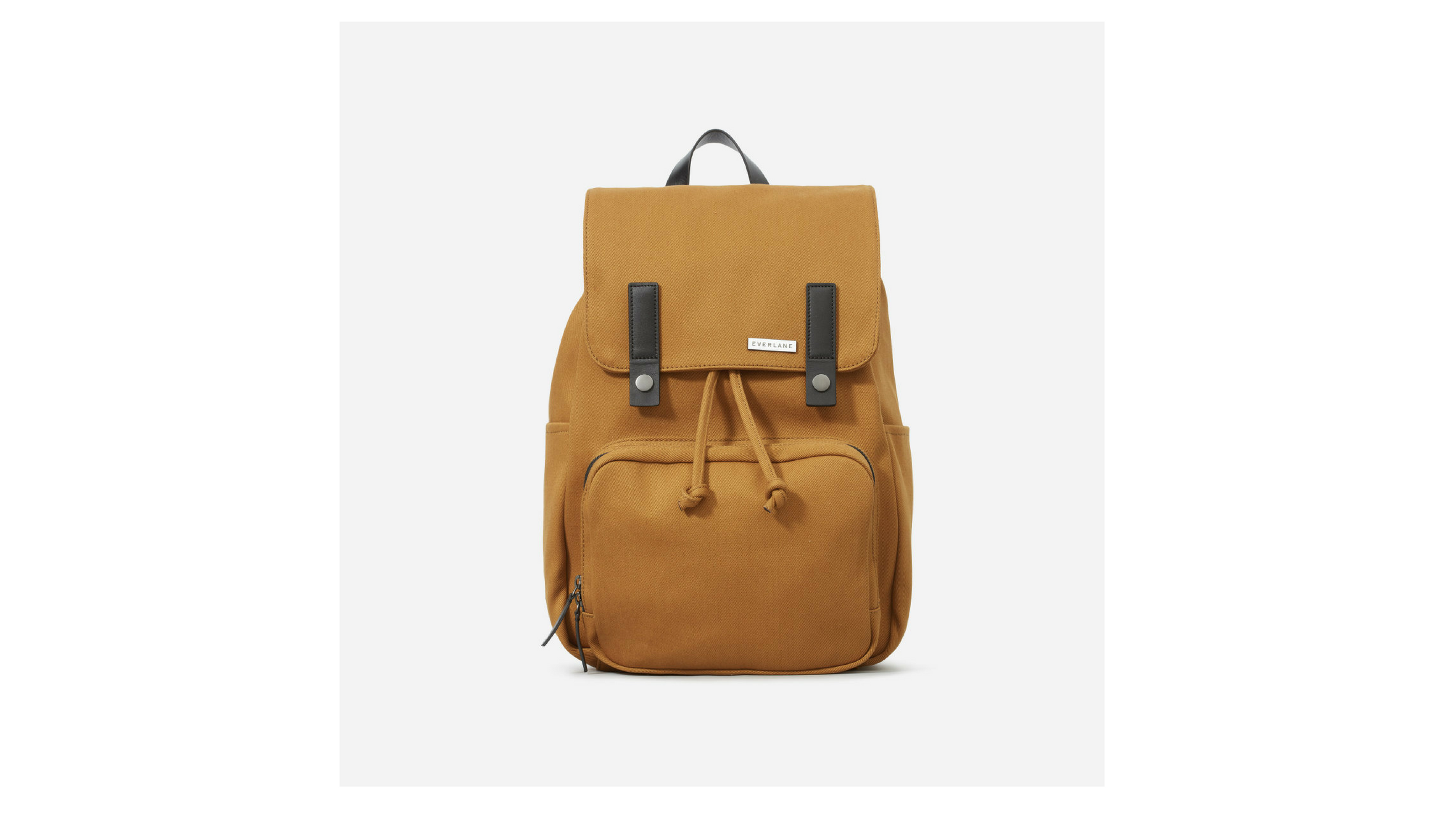 everlane snap backpack