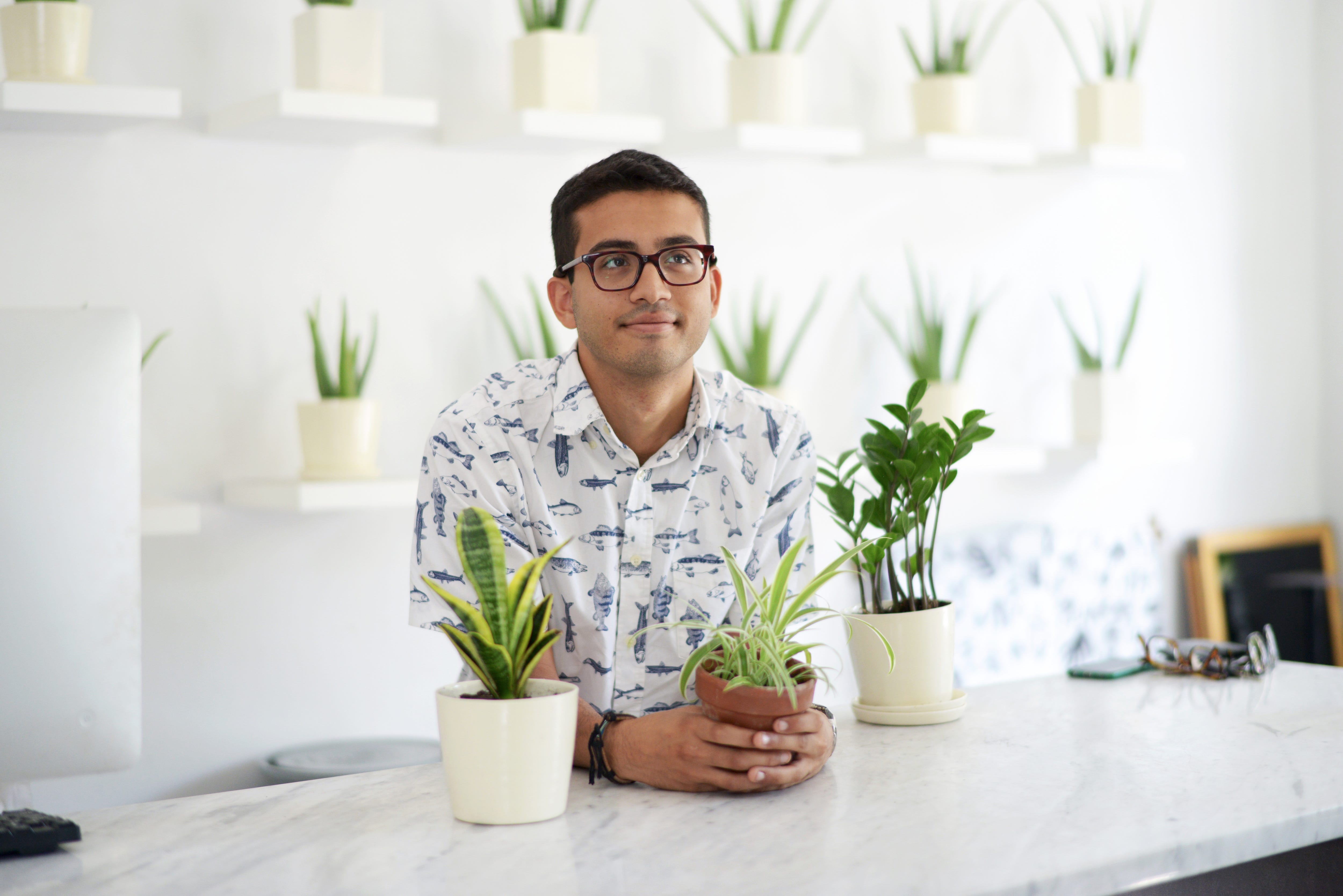 dev saha the sill, the sill, plants, office style, what he wore, what he wore the sill office style