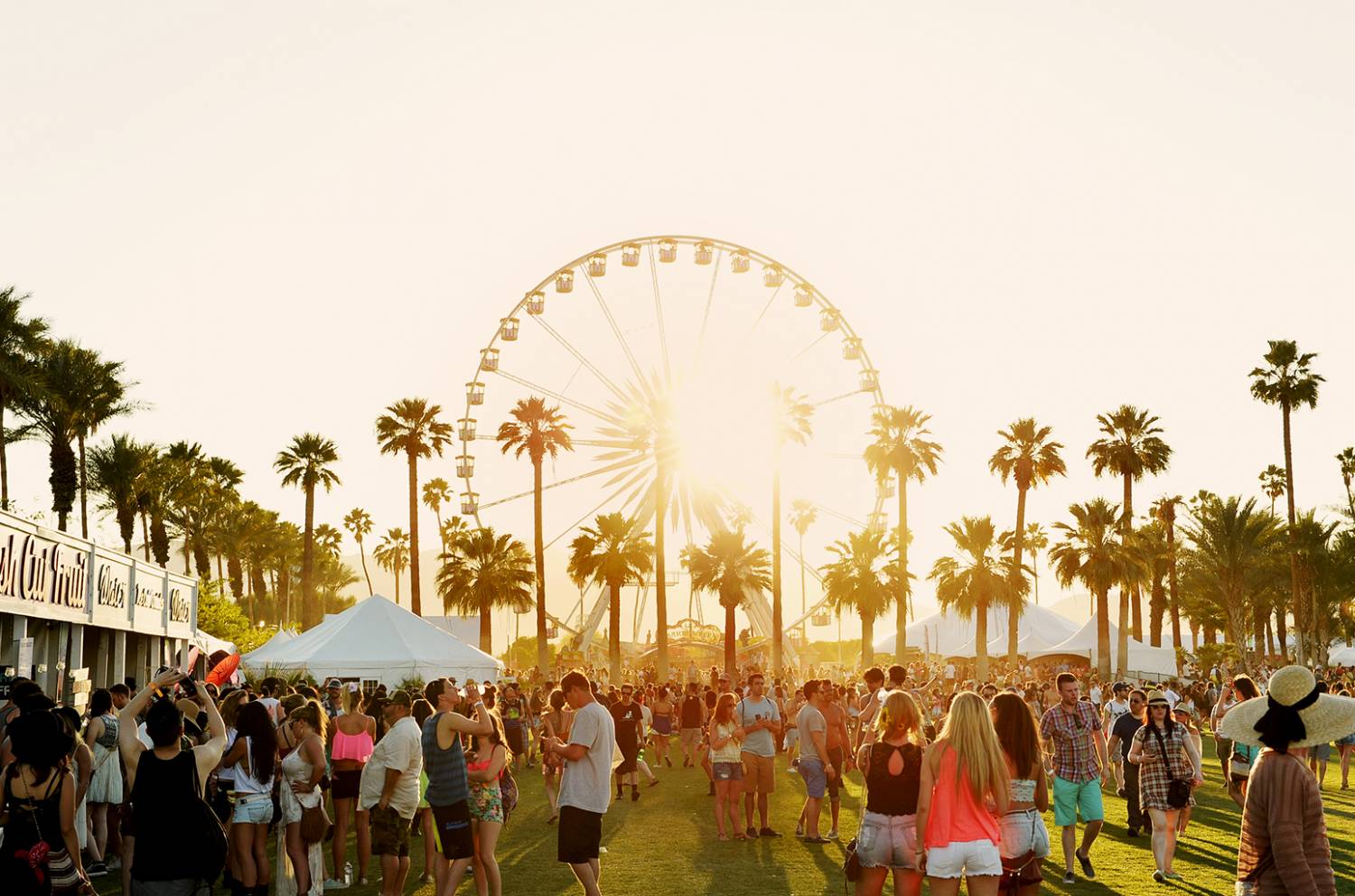 coachella festival