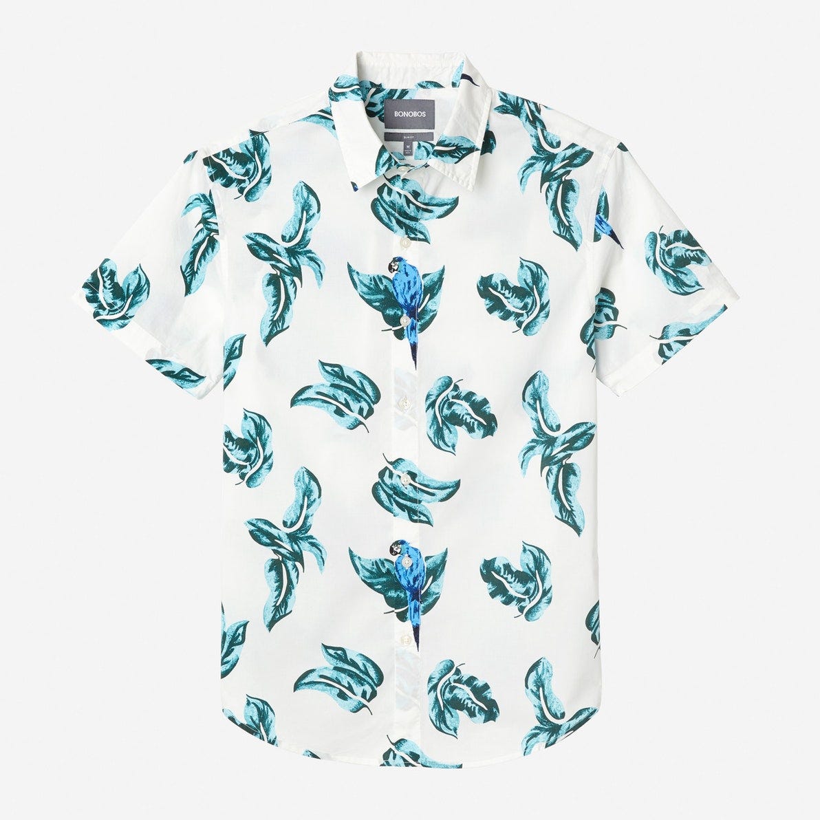 parrots shirt