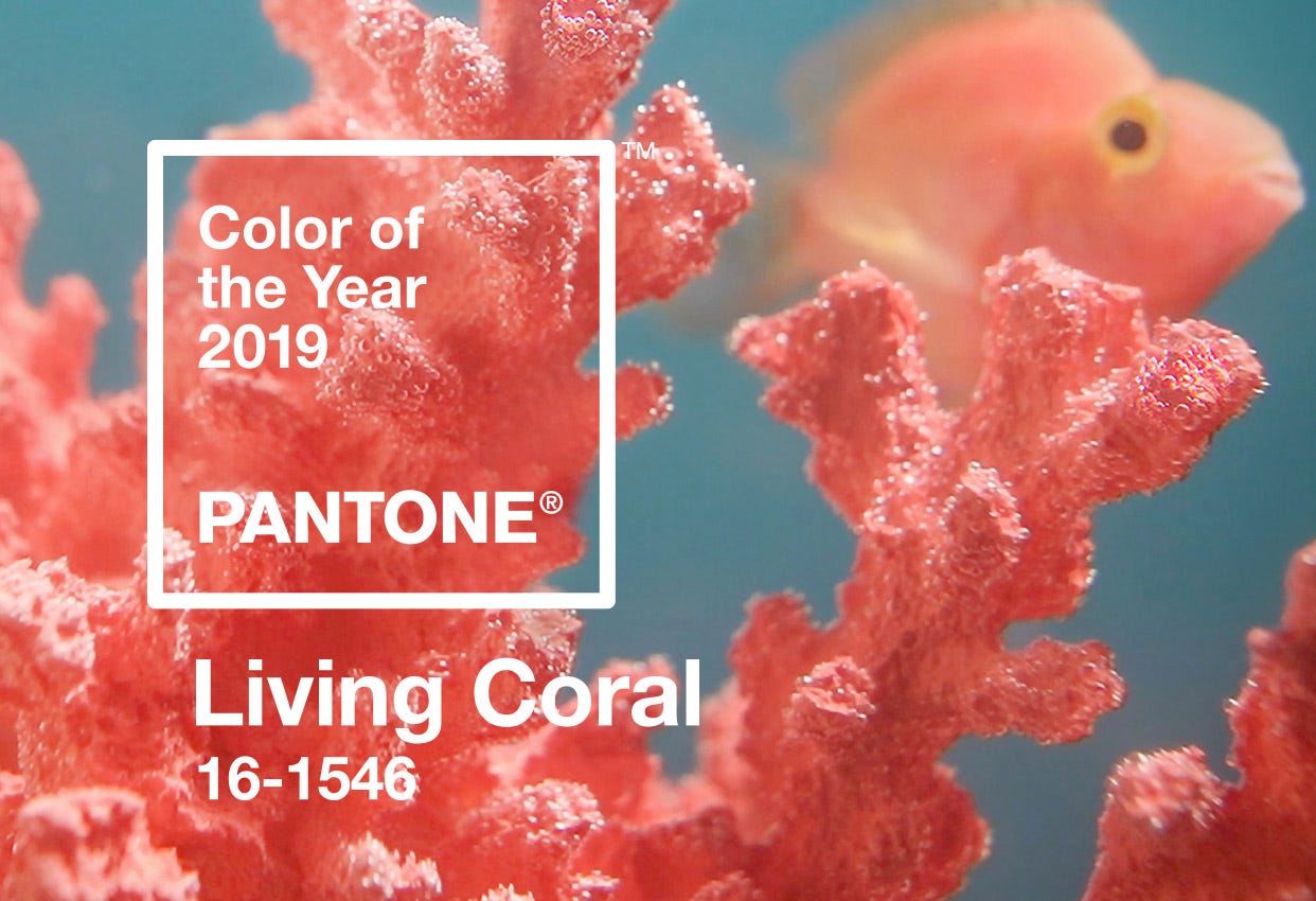 pantone color of the year 2019 living coral, fashion trends 2019