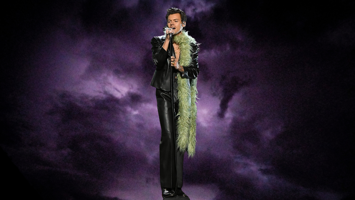 harry styles halloween costume 2022