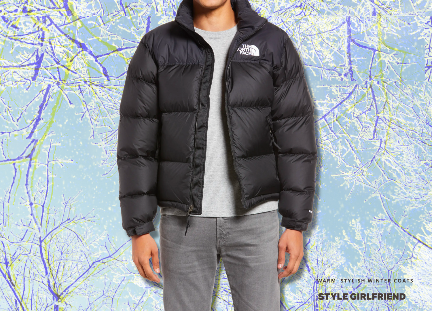 North face shop warmest mens jacket