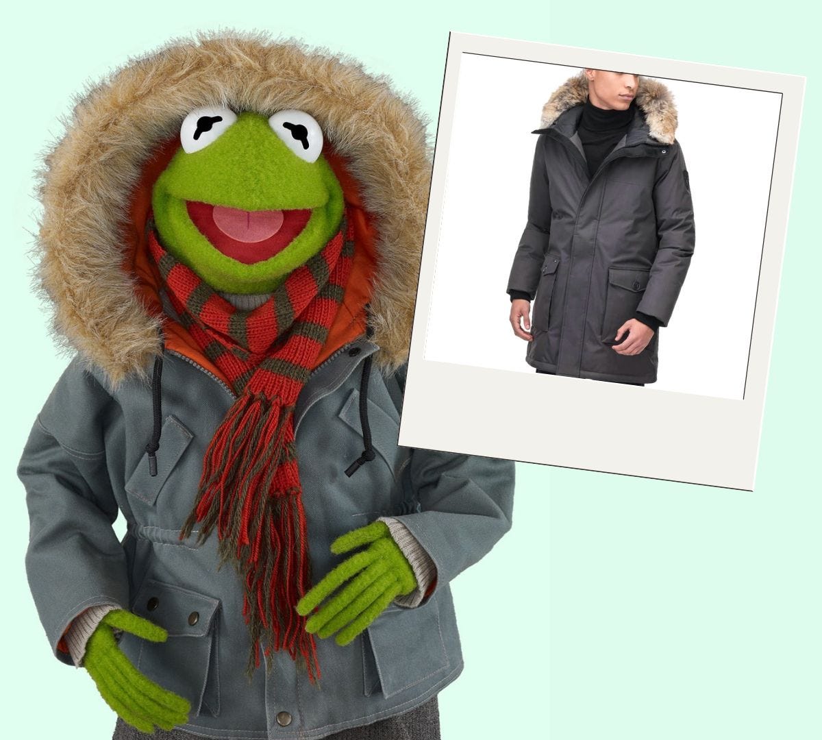 kermit the frog winter outfit