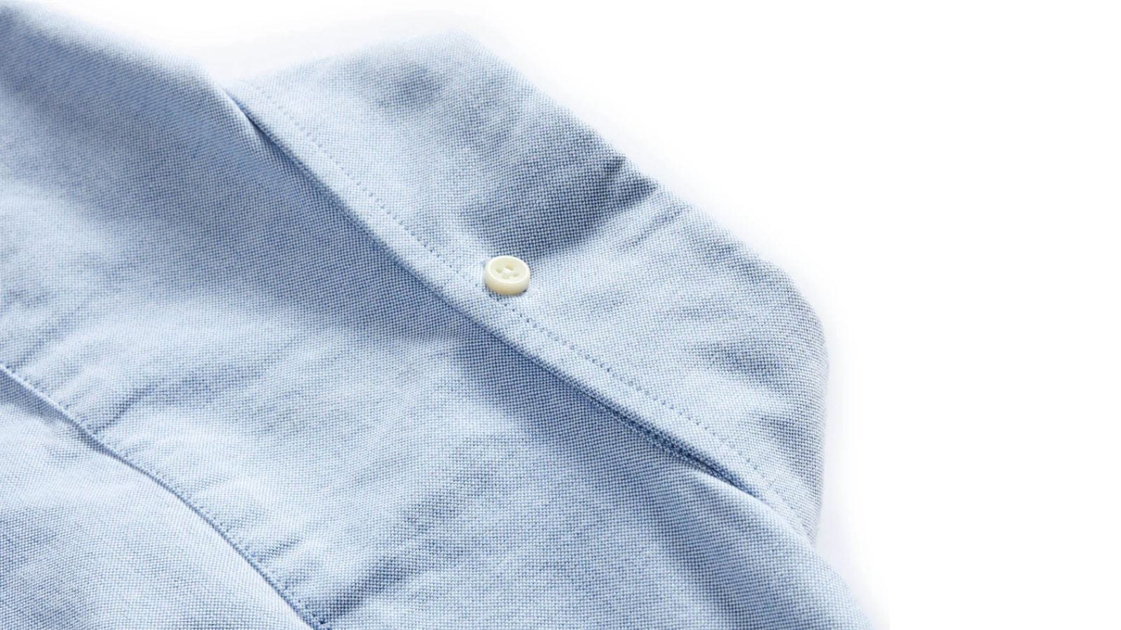 close-up of the back of a blue Oxford shirt