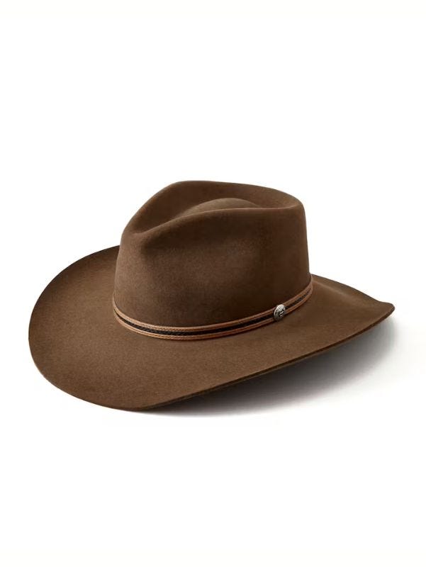 men's brown cowboy hat